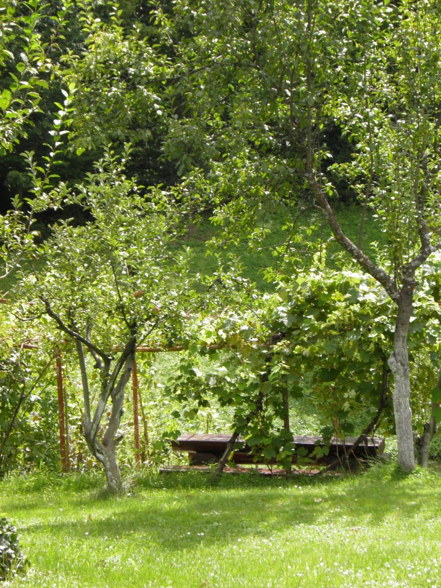 House Janja Plitvice Hotel Seliste Dreznicko Exterior photo